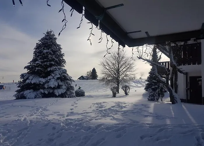 Neuastenberg Apartman Winterberg