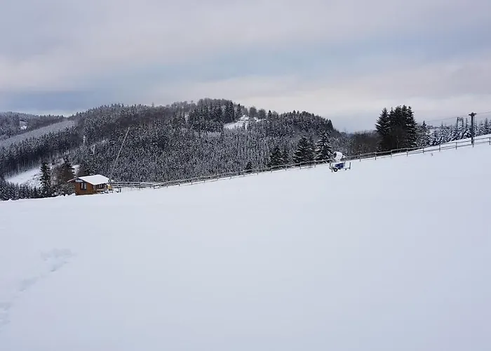 Neuastenberg Apartman *